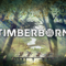 Timberborn – Recenzja
